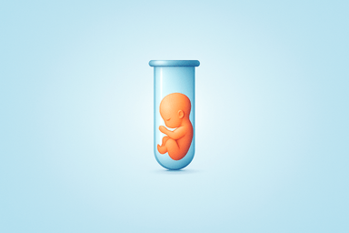 이혼 후 냉동 배아 이식과 출산: 법적 쟁점과 책임 문제