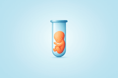 이혼 후 냉동 배아 이식과 출산: 법적 쟁점과 책임 문제